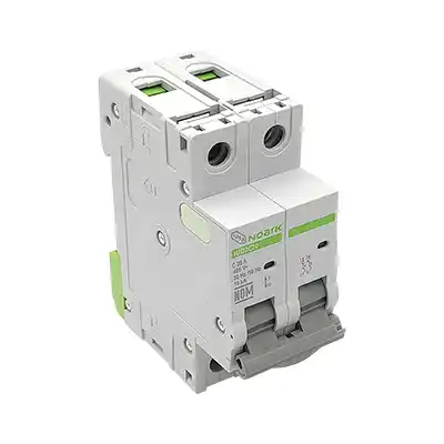 Interruptor Termomagnético 2 Polos Iusa Noark 616899 20A 400