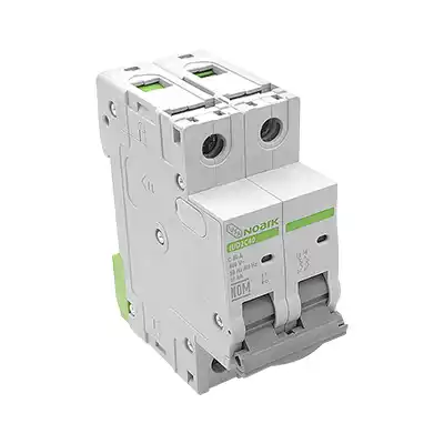 Interruptor Termomagnético 2 Polos Iusa Noark 616902 40A