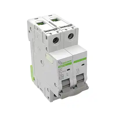 Interruptor Termomagnético 2 Polos Iusa Noark 616903 50A