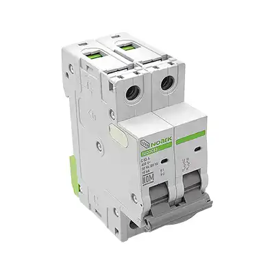 Interruptor Termomagnético 2 Polos Iusa Noark 616904 63A