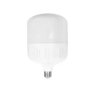 Foco LED Alta Potencia Sanelec 1399 50W Luz de Día
